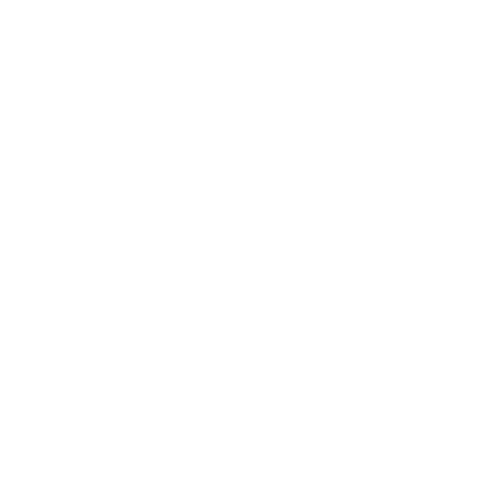 ROAM Systems